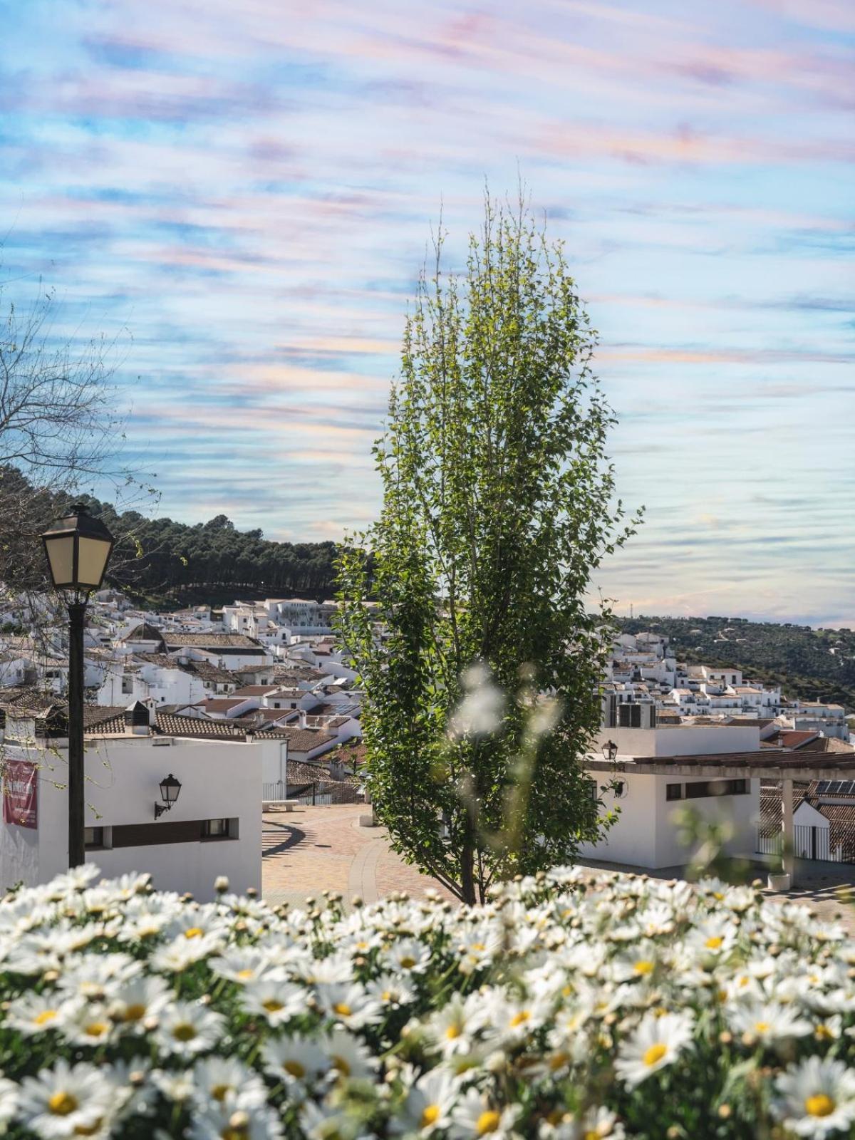 Appartamento Salati El Gastor Esterno foto